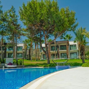 Suite "Palm"